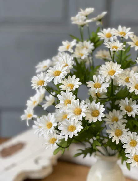 Curtsy Daisy Bush | 16" | Cream