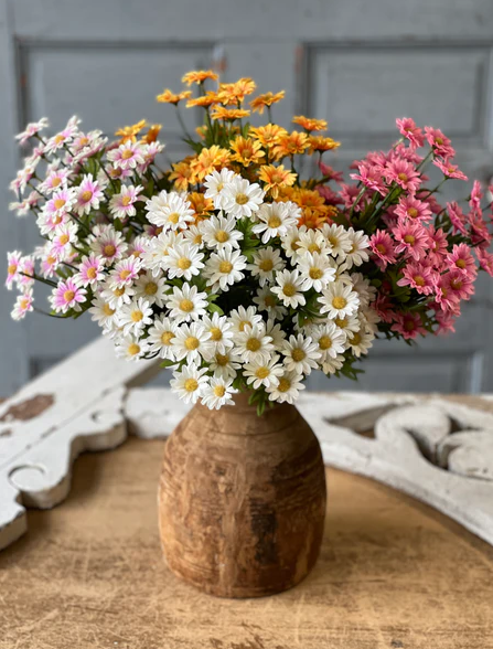 Curtsy Daisy Bush | 16" | Parfait