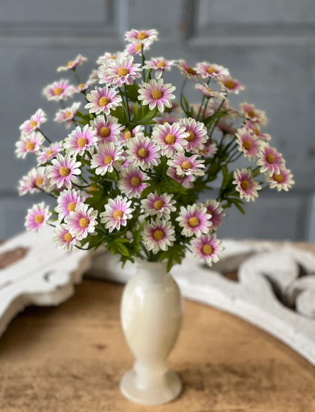 Curtsy Daisy Bush | 16" | Parfait