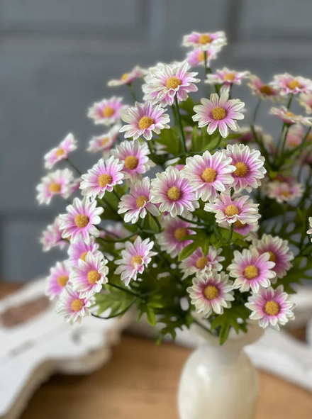 Curtsy Daisy Bush | 16" | Parfait