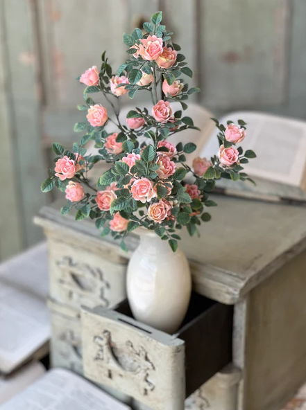 Calloway Rose Bush | 14.5" | Pink