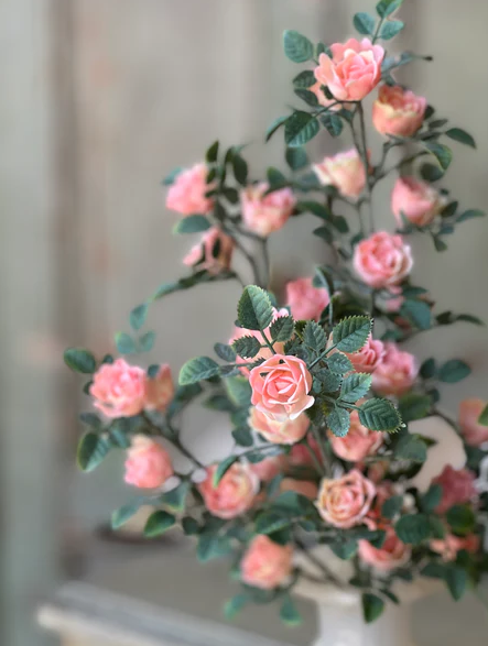 Calloway Rose Bush | 14.5" | Pink