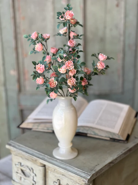 Calloway Rose Bush | 14.5" | Pink