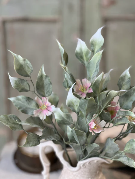 Idle Hour Bush | 14" | Pink
