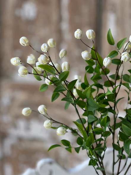 15.5" Billows Buds Bush | Cream