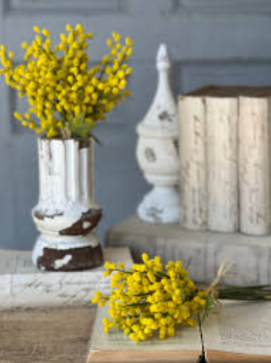 11.5" Medallion Mimosa Bundle