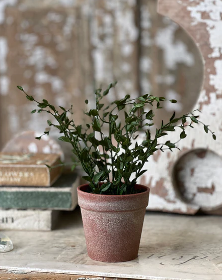 10" Hebron Pot | Spear Leaf