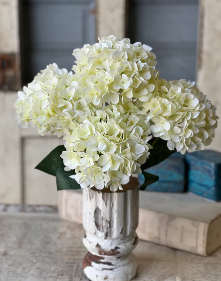19.5" Harkness Hydrangea | Cream