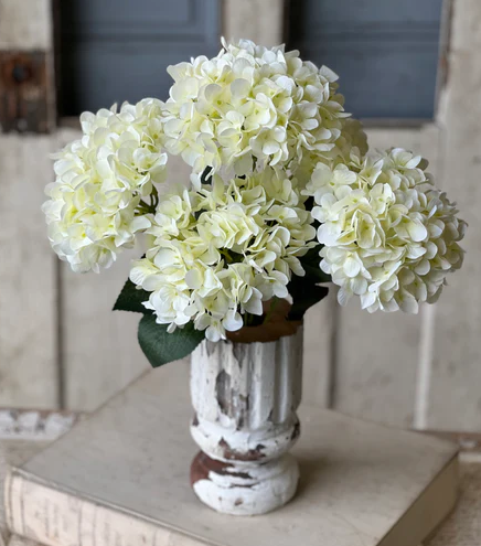 19.5" Harkness Hydrangea | Cream