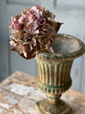 25" Empire Hydrangea - Love