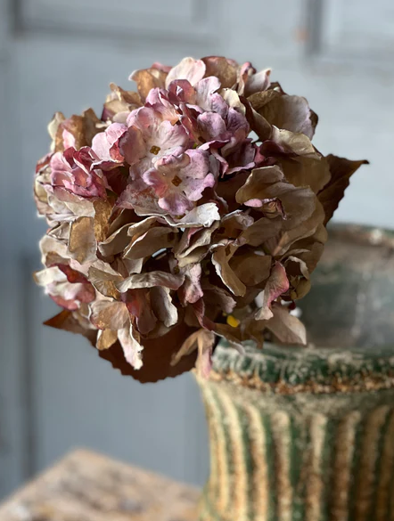 25" Empire Hydrangea - Love