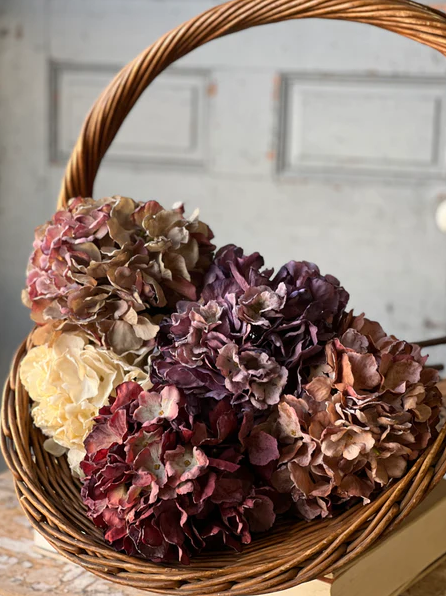 25" Empire Hydrangea - Love