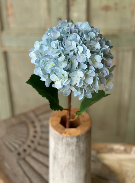 Callahan Hydrangea | 21.5" | Blue