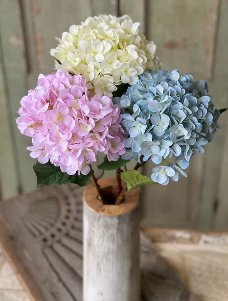 Callahan Hydrangea | 21.5" | Cream