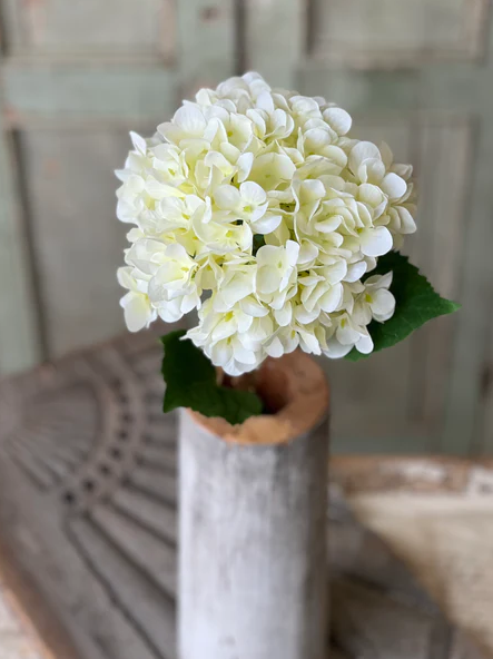 Callahan Hydrangea | 21.5" | Cream