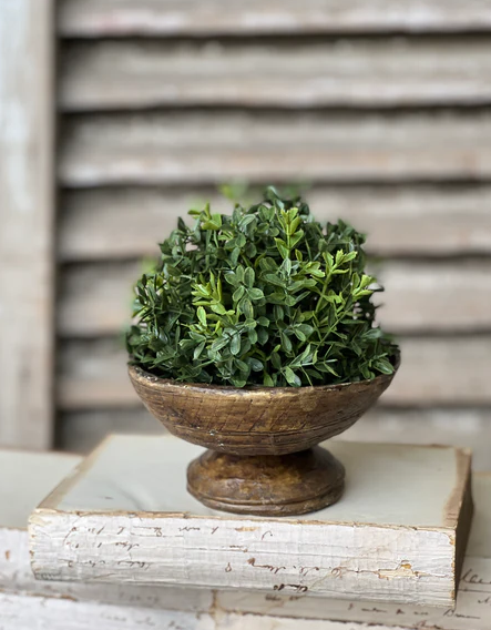 New England Boxwood Half Sphere | 7"