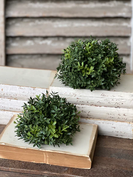 New England Boxwood Half Sphere | 7"