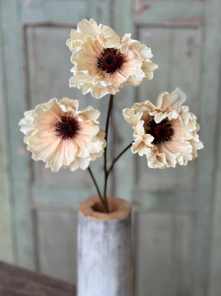 29" Pomelo Poppies - Dawning