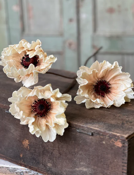 29" Pomelo Poppies - Dawning