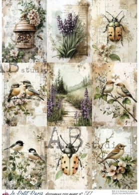 AB Studios: Garden Bird and Ladybug Illustration Panel