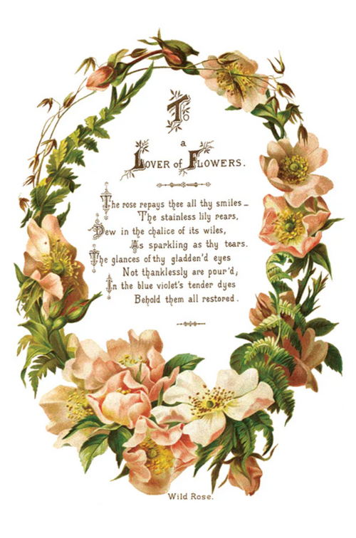 Lover of Flowers IOD Transfer 8x12 Pad™