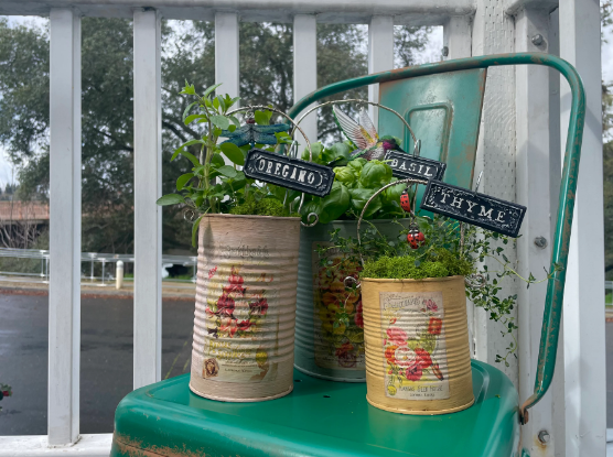 Apothecary Labels 6x6 IOD Stamp™