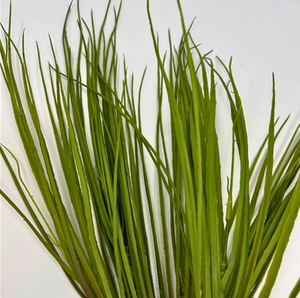 Field Grass Bush -Green/Brown - 20''