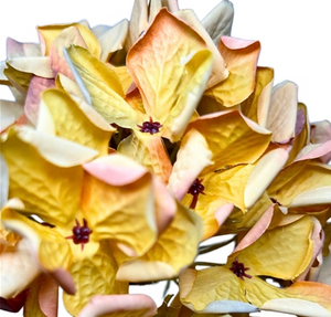 Faux Dried Meadowlands Hydrangea Stem 22" - Orange