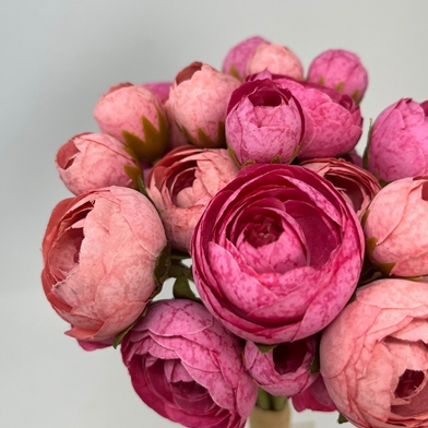 Mini Ranunculus Bundle X 9 - Pink