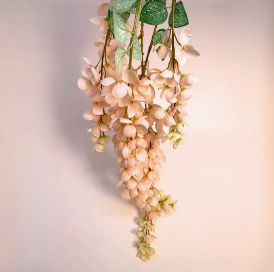 hanging garden wisteria branch