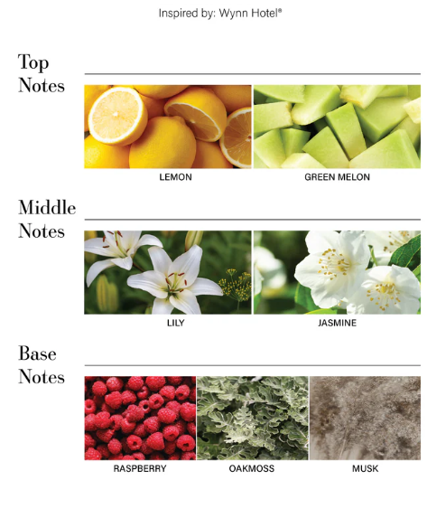 Car Diffuser Oil By Aroma360