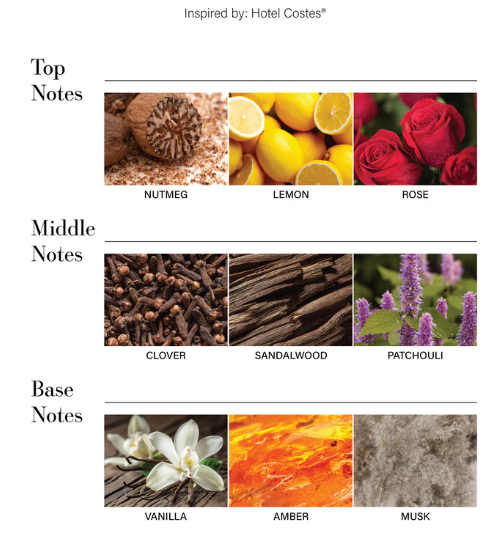 Car Diffuser Oil By Aroma360