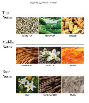 Car Diffuser Oil By Aroma360