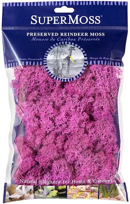 Reindeer Moss Preserved 2oz bags