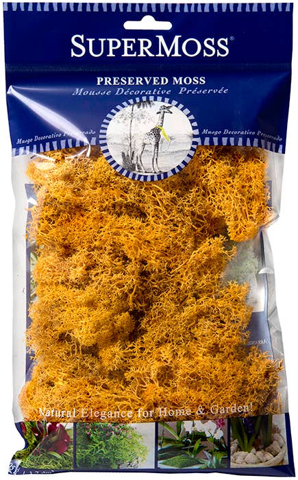 Reindeer Moss Preserved 2oz bags