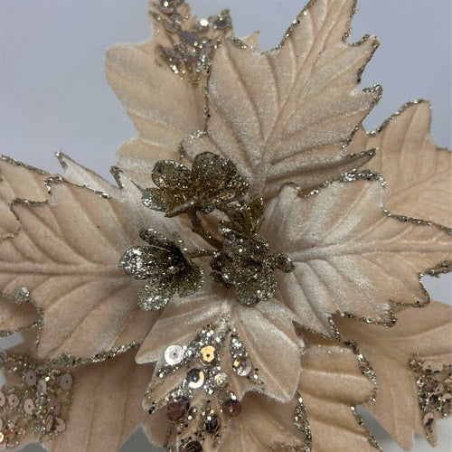 Beige Velvet Poinsettia w/ Champagne Glitter