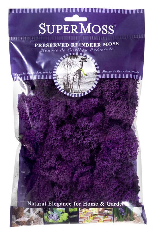 Reindeer Moss Preserved 2oz bags