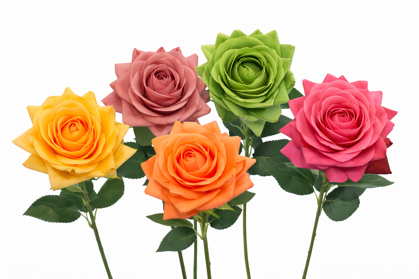 Ultra Realistic Rose