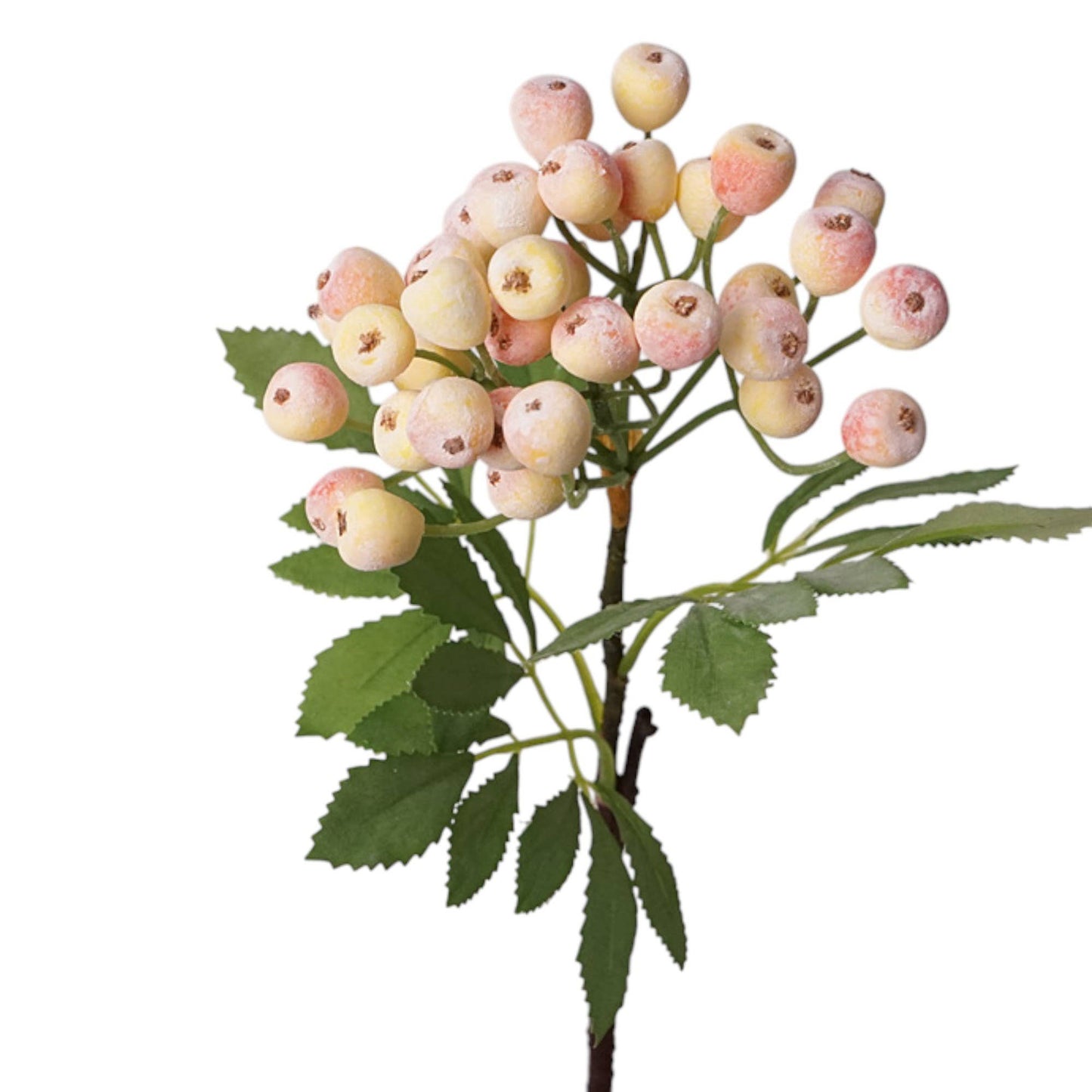 Designer’s Pick:  High-End Berry Picks