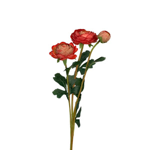 Caressed sunrise triple ranunculus spray  23"