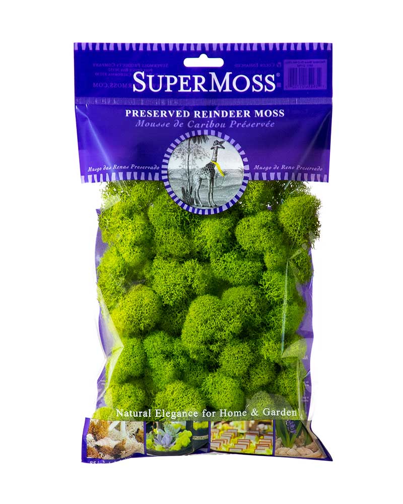 Reindeer Moss Preserved 2oz bags