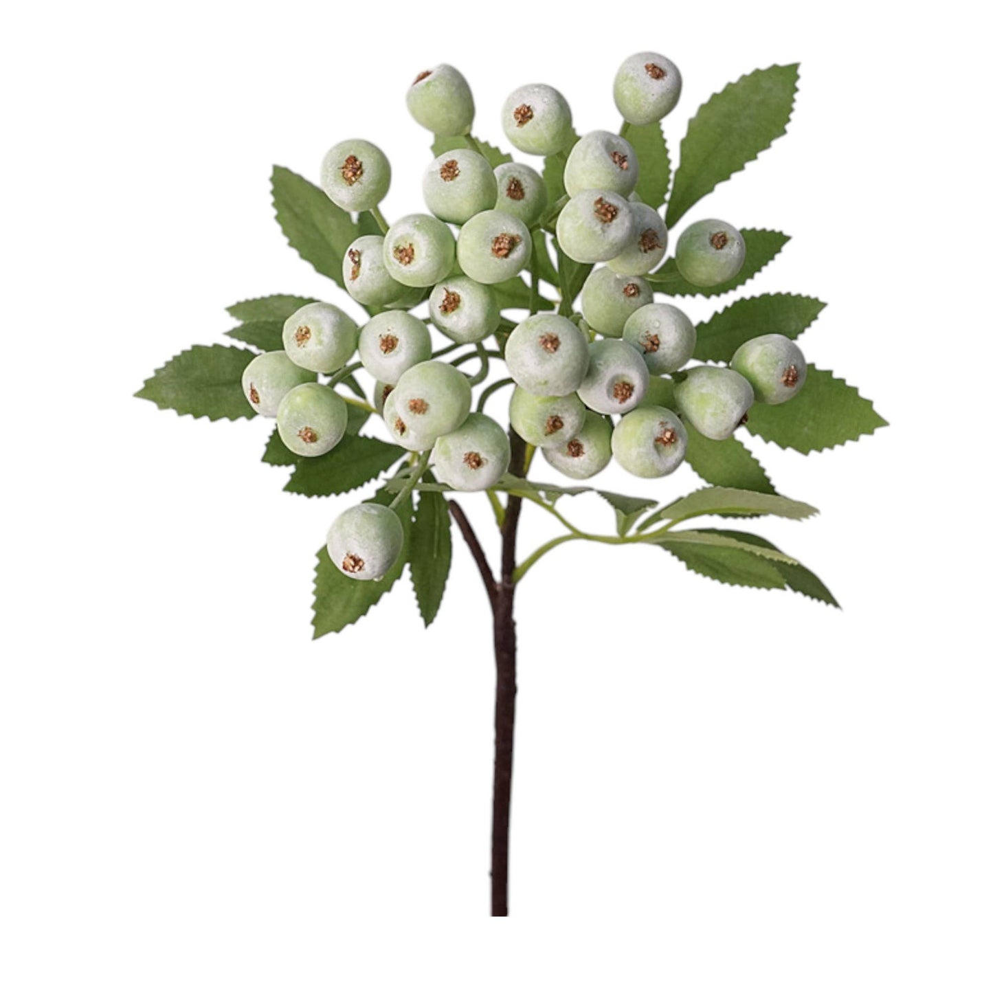 Designer’s Pick:  High-End Berry Picks