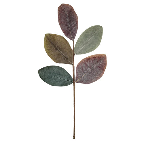 Cypress Hills Magnolia Pick 19"
