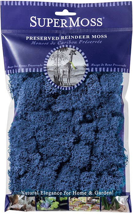 Reindeer Moss Preserved 2oz bags