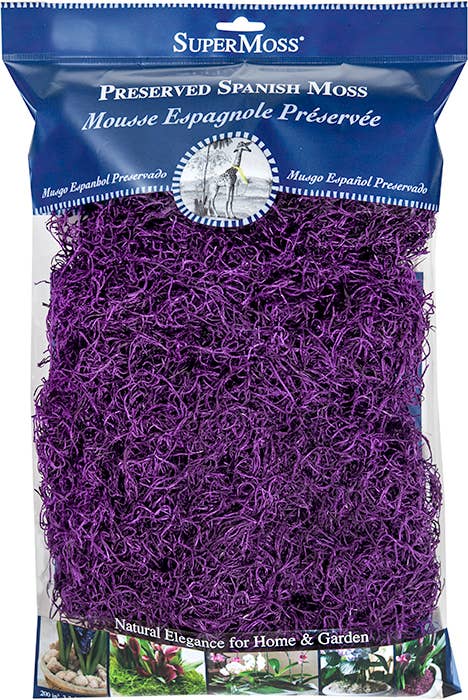 Preserved Spanish Moss