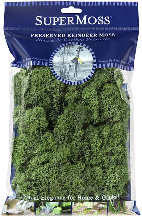 Reindeer Moss Preserved 2oz bags
