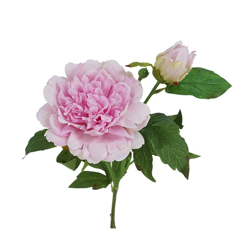 Real Touch Peony Stem - 2 Blooms