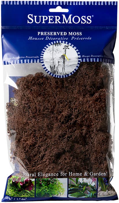 Reindeer Moss Preserved 2oz bags