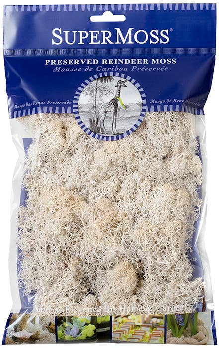 Reindeer Moss Preserved 2oz bags