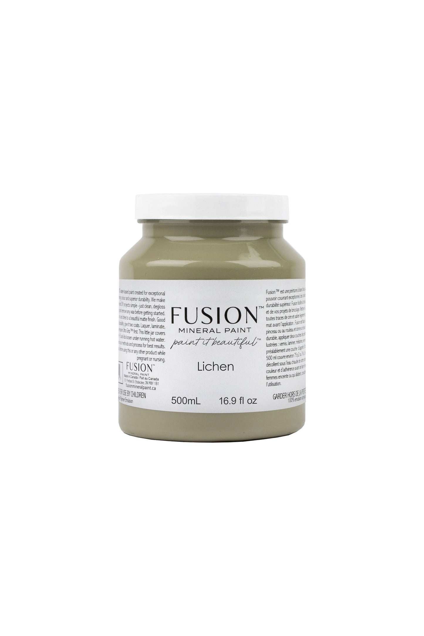 Fusion Paint: Lichen